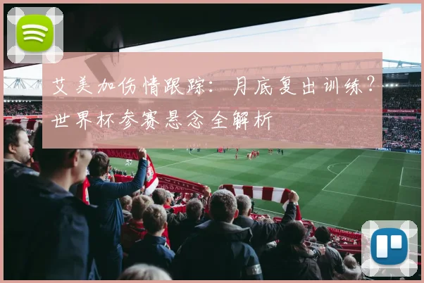 艾美加伤情跟踪:月底复出训练?世界杯参赛悬念全解析